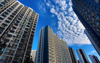 目前,魔方是深圳,武汉,南京等多个住房租赁试点城市的试点企业,多次